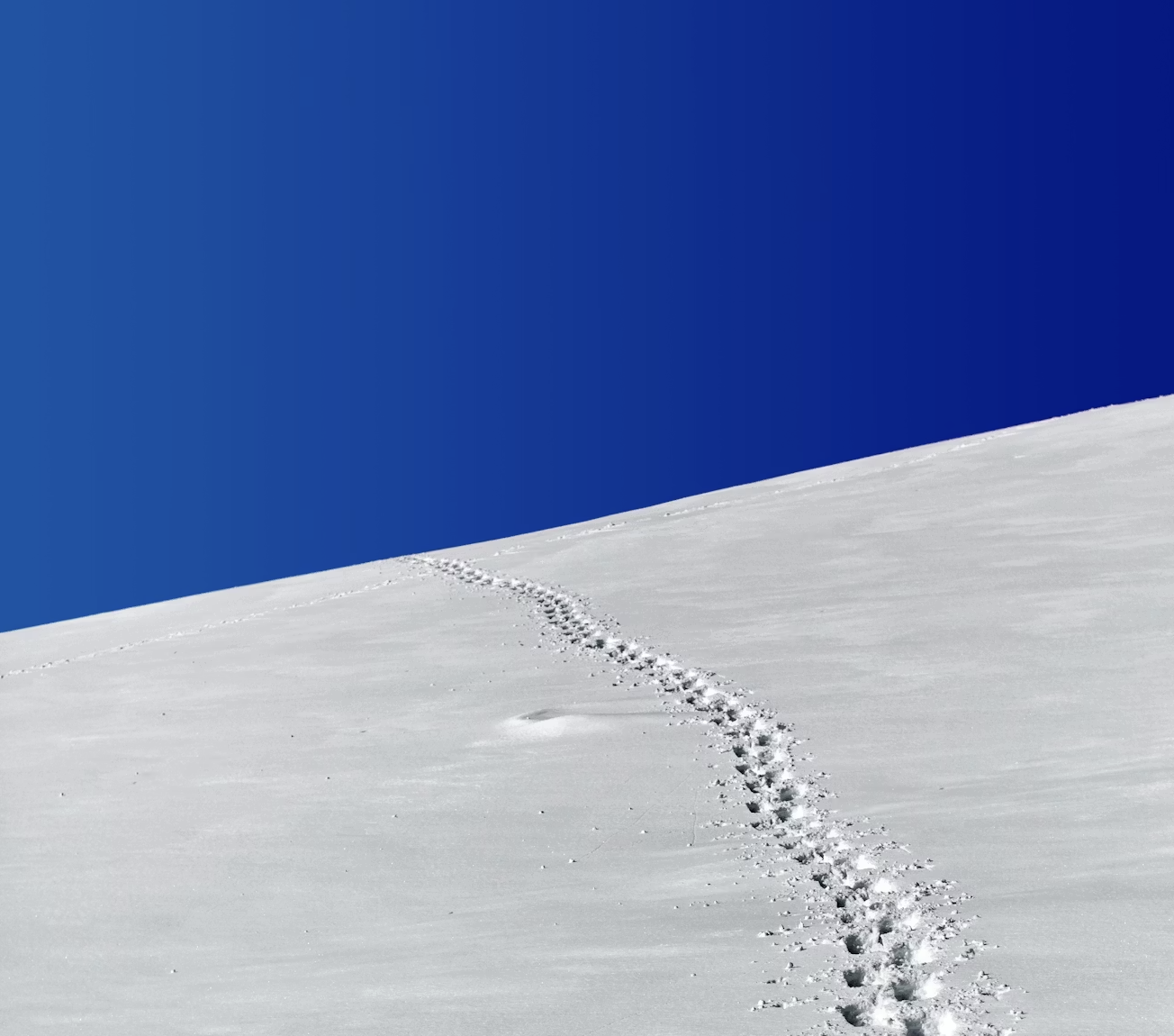 Oltre le discriminazioni